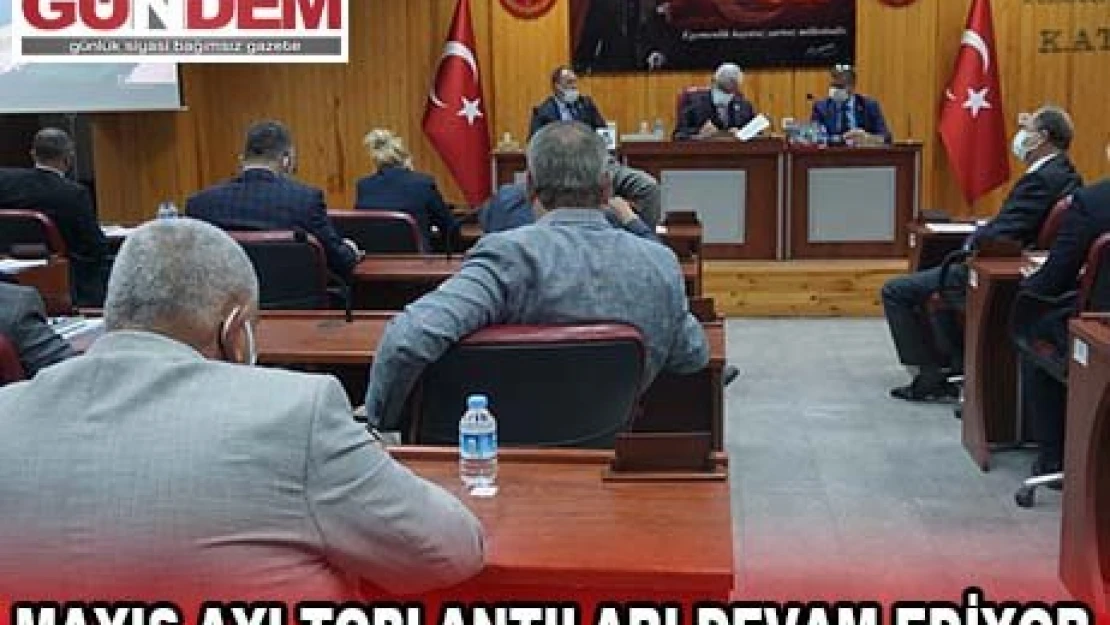 Sokaktaki canlara '˜sanat' desteği