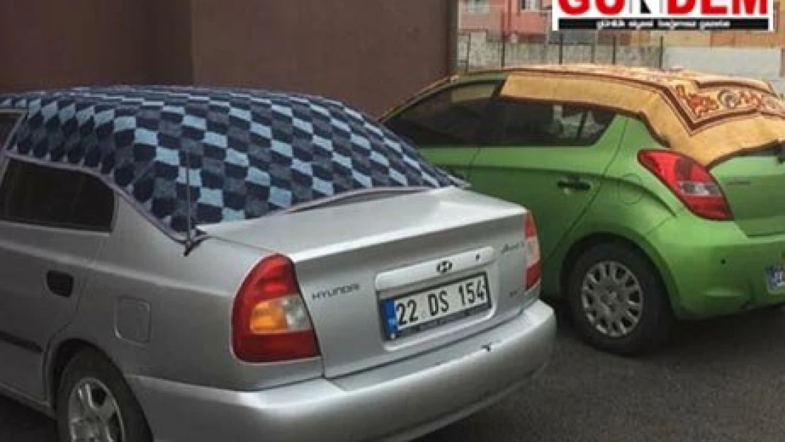 Anadolu motifli '˜dolusavar'