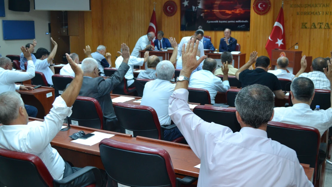 Mecidiye arıtma bekliyor