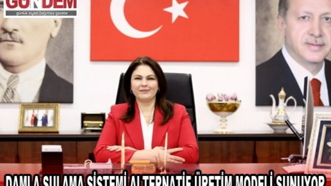 Edirne'de zirai don tehlikesi