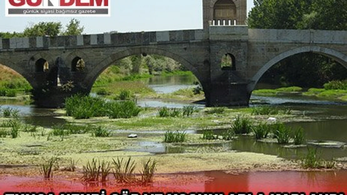 TUNCA NEHRİ ÇÖP VE YOSUNLARLA KAPLANDI