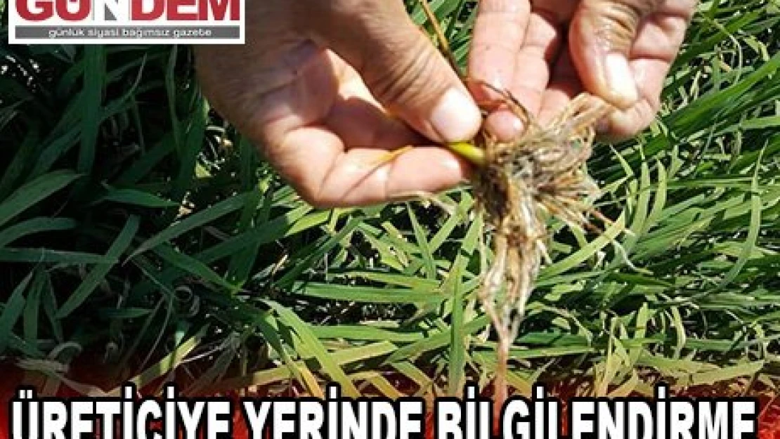 Üreticiye yerinde bilgilendirme