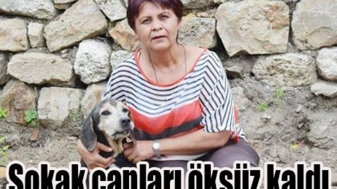 Sokak canları öksüz kaldı