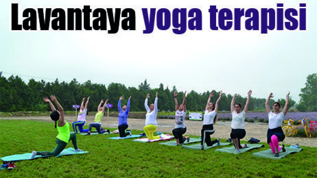Lavanta tarlasında yoga terapisi