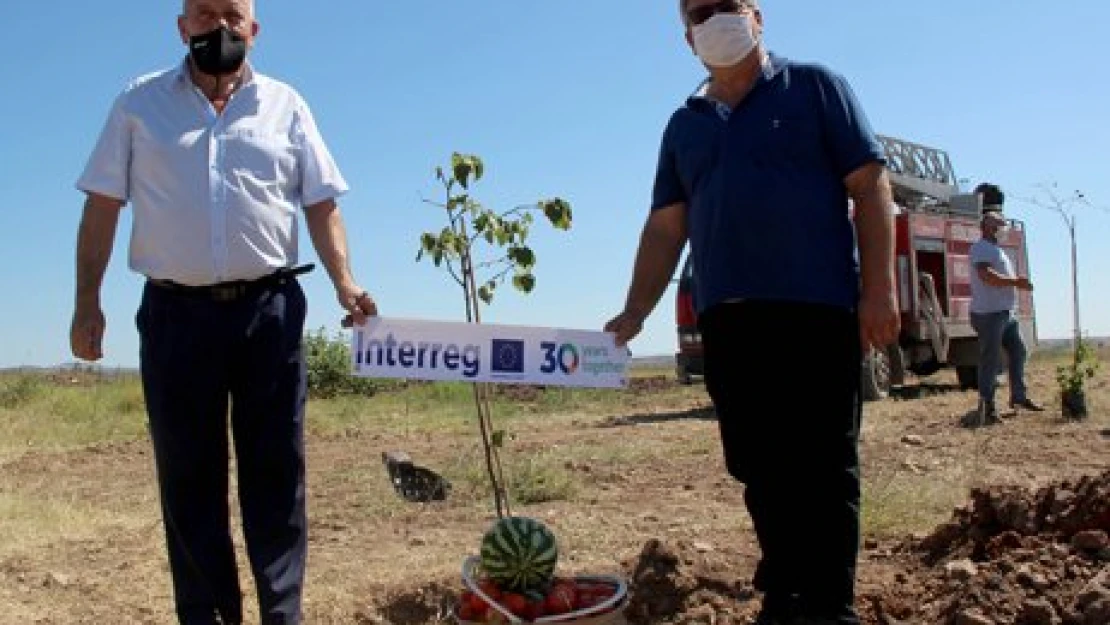 Komşudan Süloğlu'na fidan