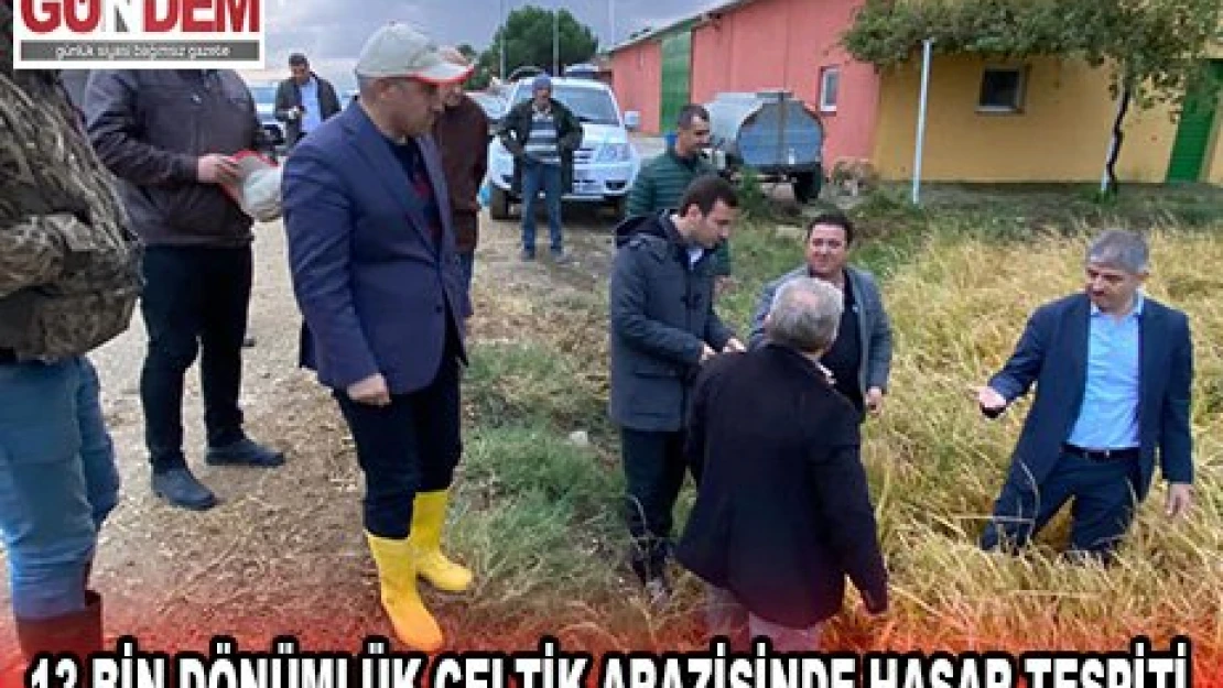 13 bin dönümlük çeltik arazisinde hasar tespiti