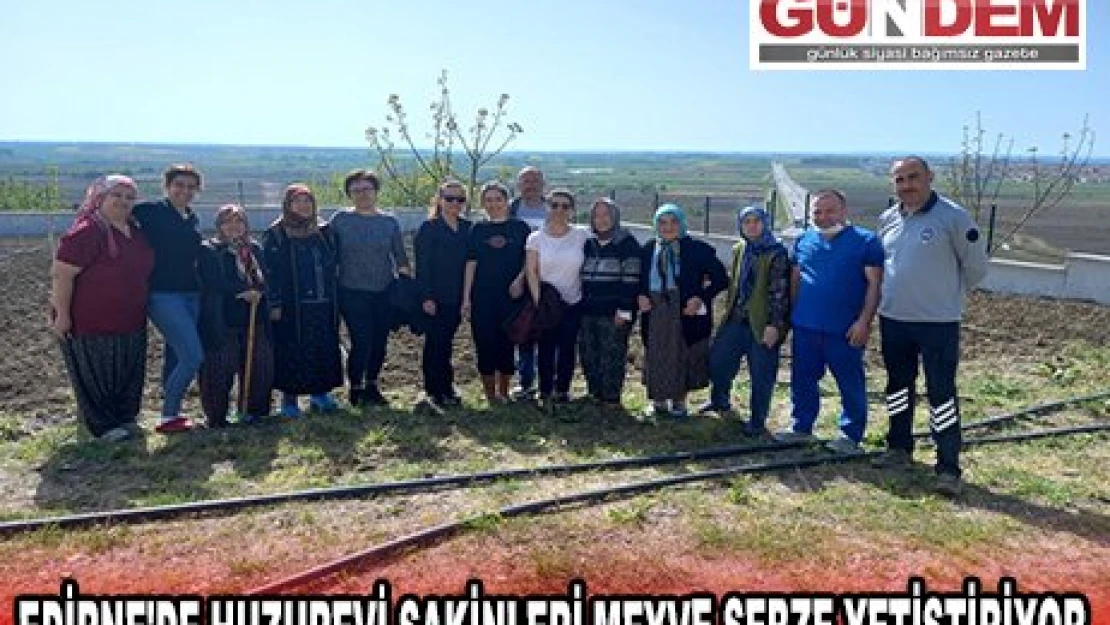 EDİRNE'DE HUZUREVİ SAKİNLERİ MEYVE SEBZE YETİŞTİRİYOR