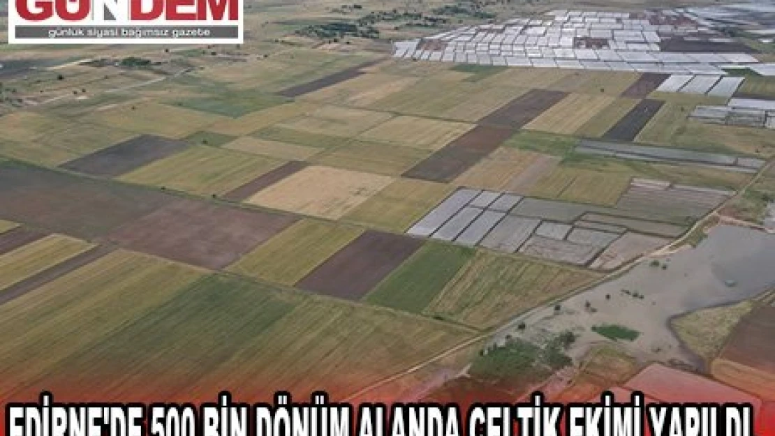 Edirne'de 500 bin dönüm alanda çeltik ekimi yapıldı