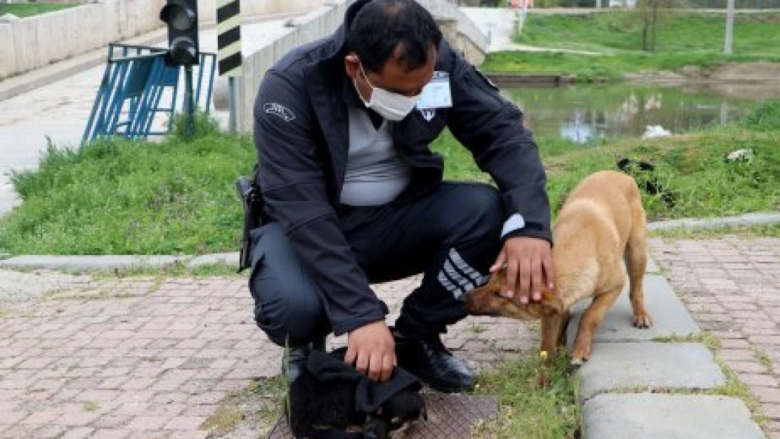 Yavru köpeği güvenlikçi kurtardı