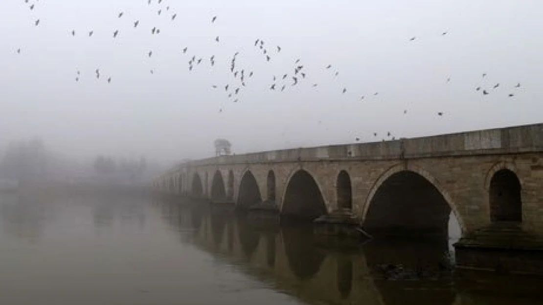 Edirne'de yoğun sis 