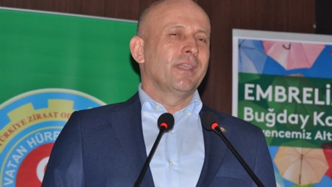 Buğdayda gelişim güzel