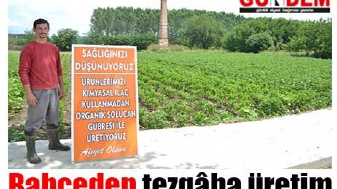 Bahçeden tezg&acircha üretim