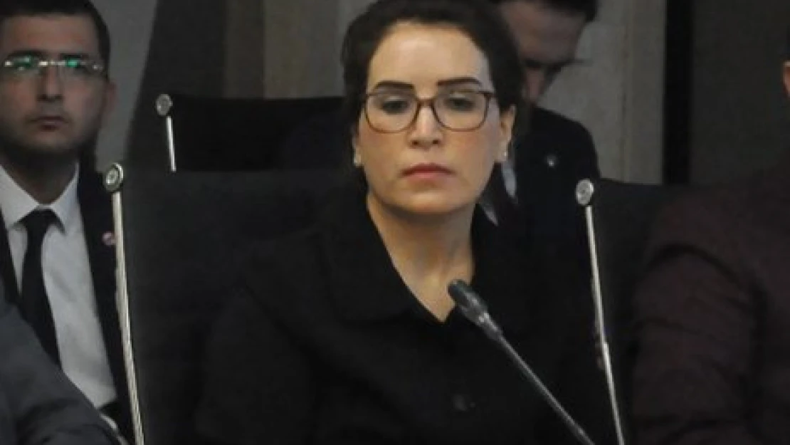 Doç. Dr. Çetin yeniden Bilim Kurulu'nda