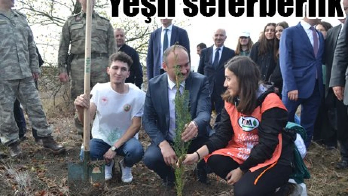 Yeşil seferberlik