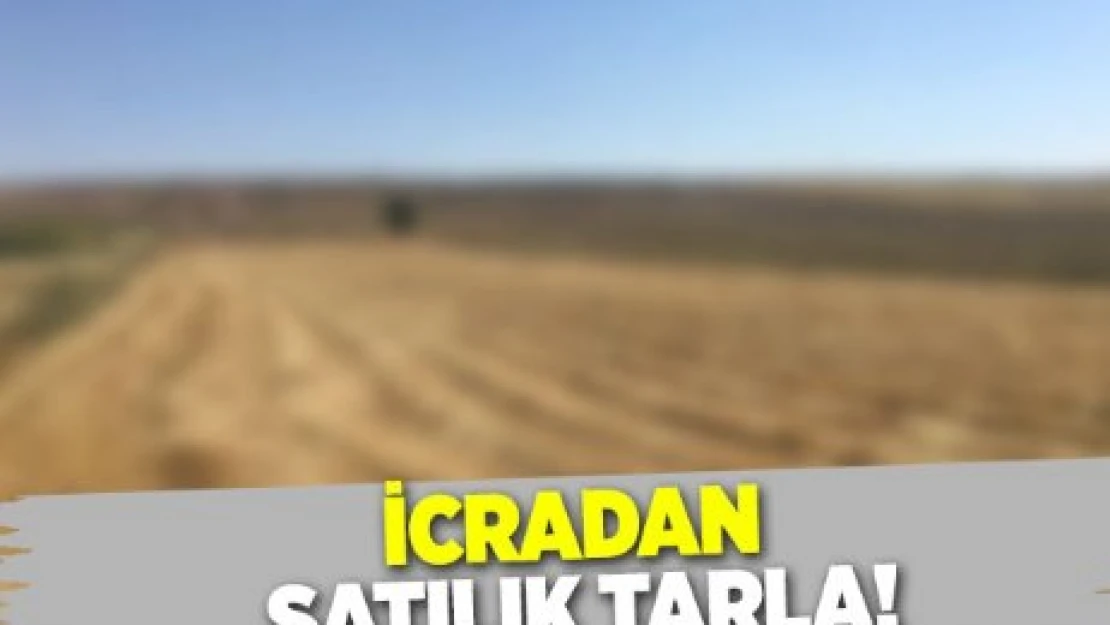 İcradan satılık tarla