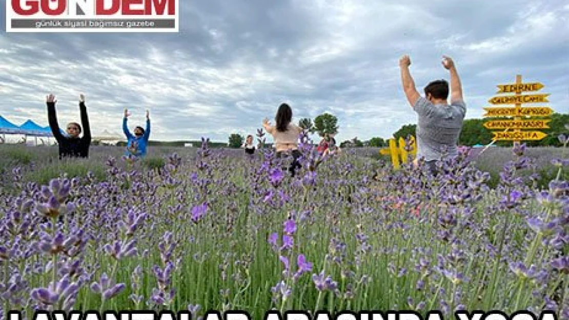 Lavantalar arasında yoga