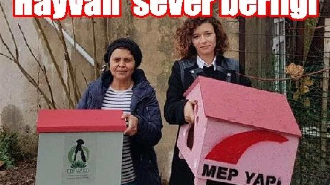 Hayvan severberliği