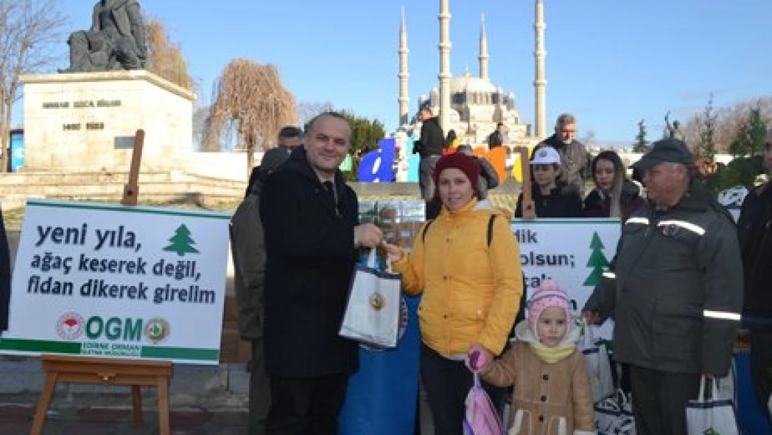 Yeni yıla 2019 fidan