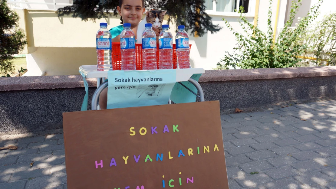 Sokak hayvanları için su satıyor