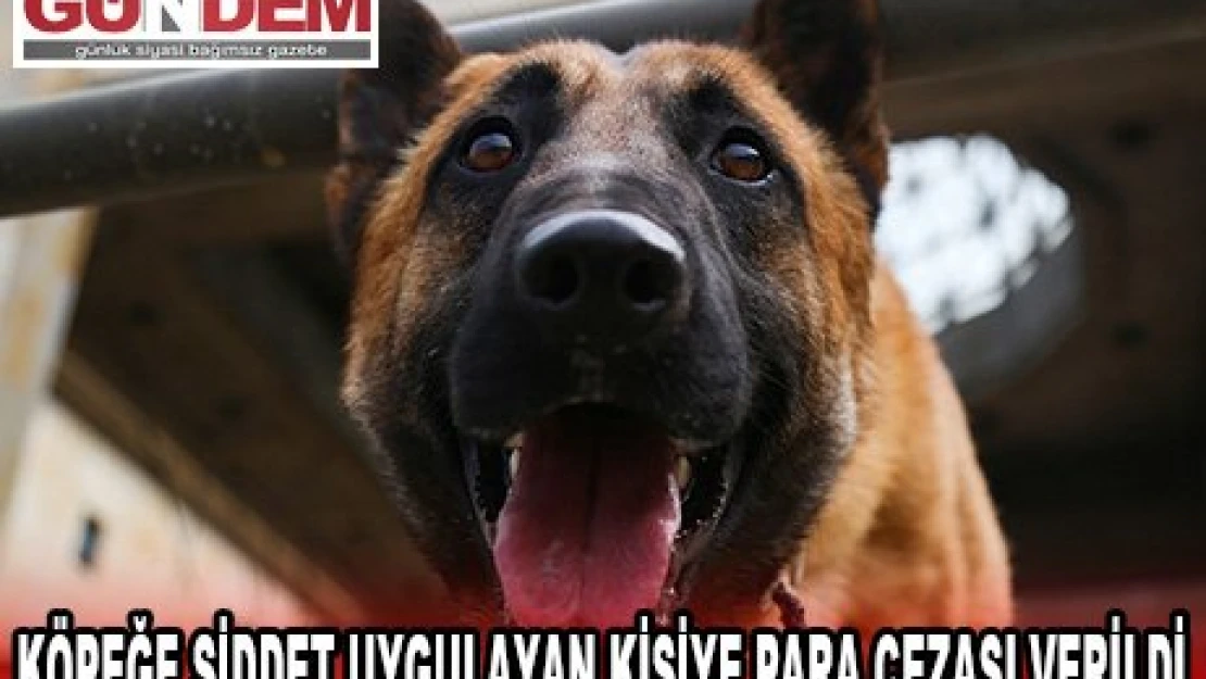 KÖPEĞE ŞİDDET UYGULAYAN KİŞİYE PARA CEZASI VERİLDİ