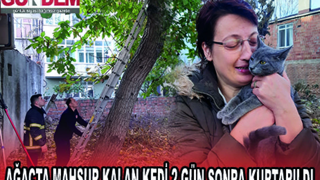 AĞAÇTA MAHSUR KALAN KEDİ 2 GÜN SONRA KURTARILDI