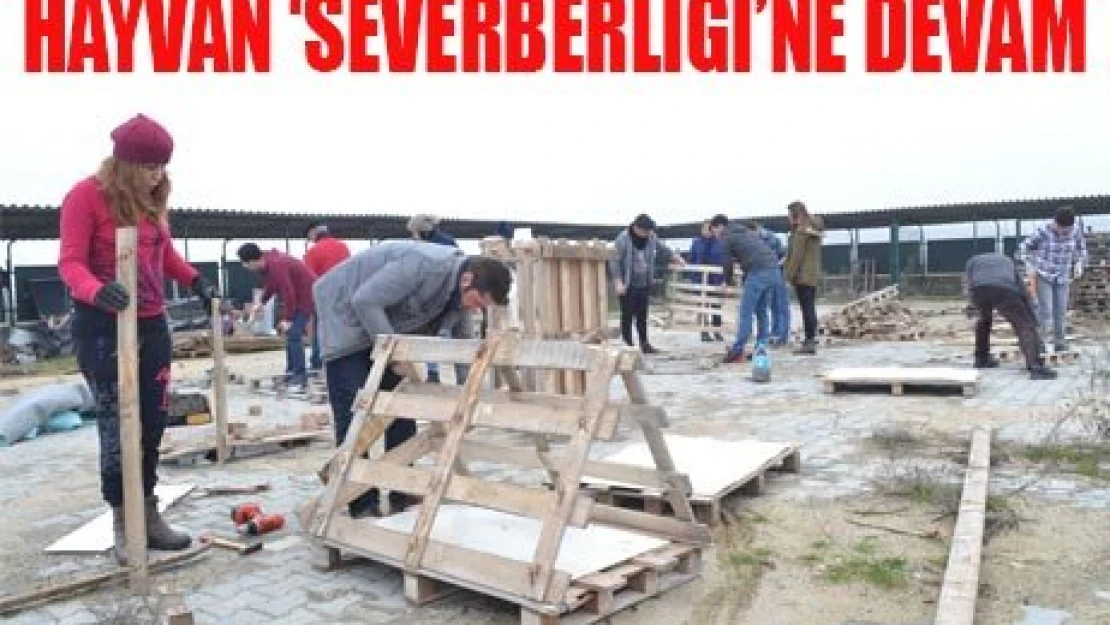 Hayvan severberliğine devam