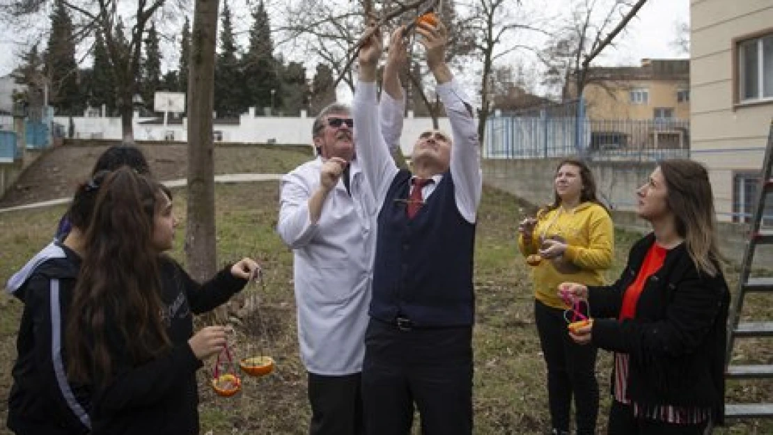 Portakal kabuğundan yemlik