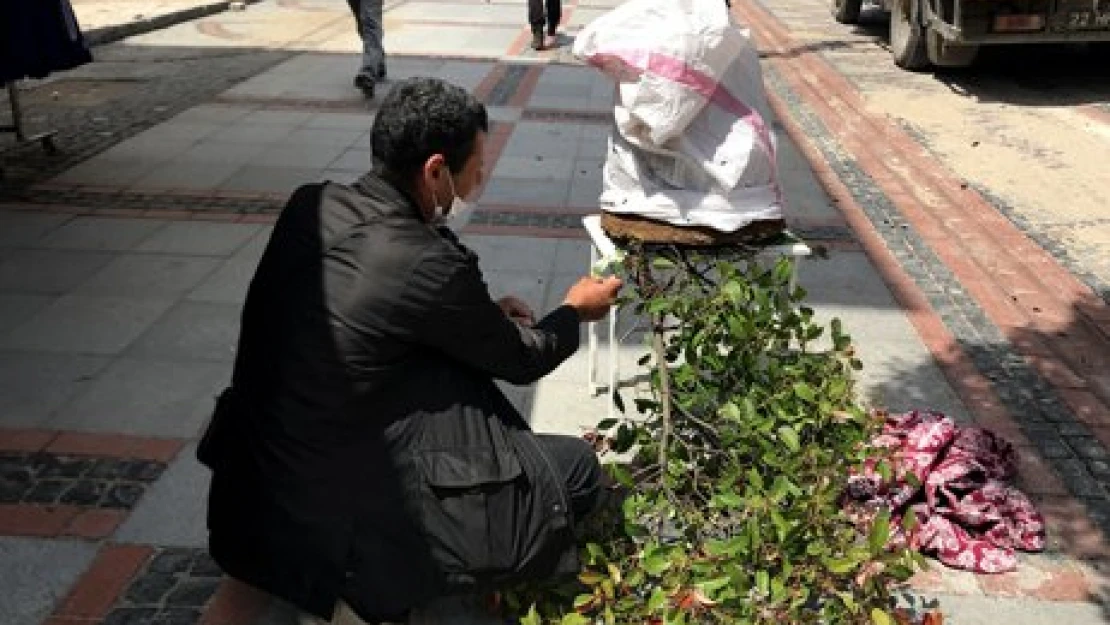 Saraçları arılar bastı