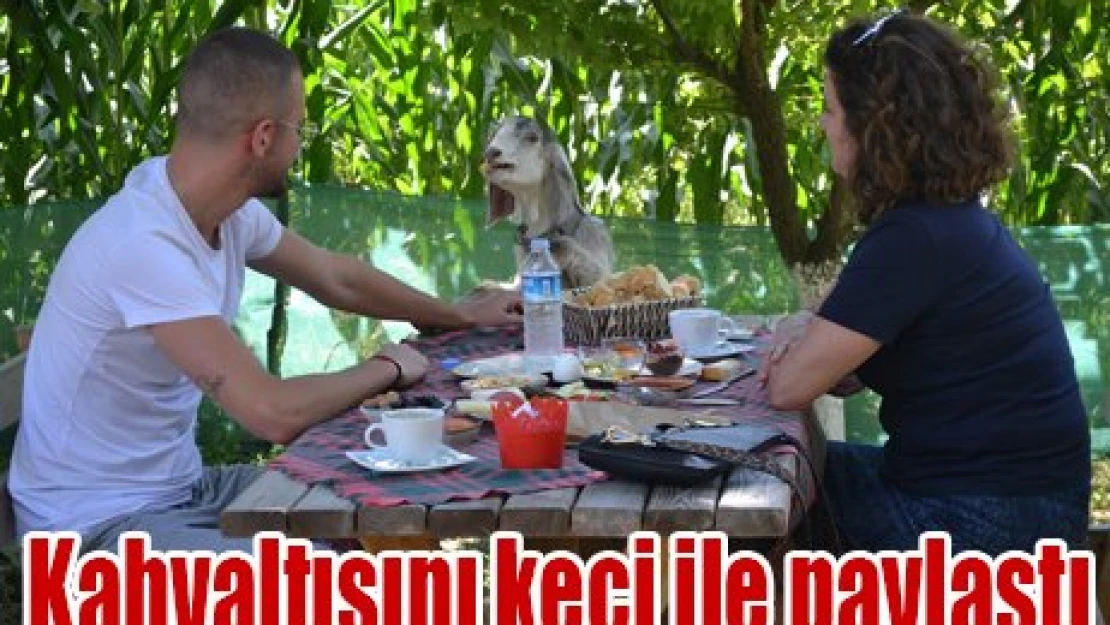 Keçi ile kahvaltısını paylaştı