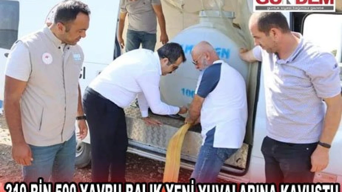 EMEKÇİ KADINLAR SEVGİ ZİNCİRİNDE BİRLEŞTİ