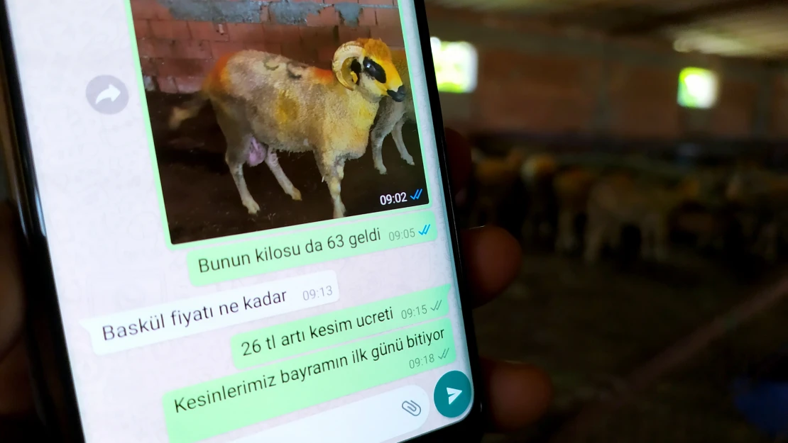 Kurbanlıklar WhatsApp'ta