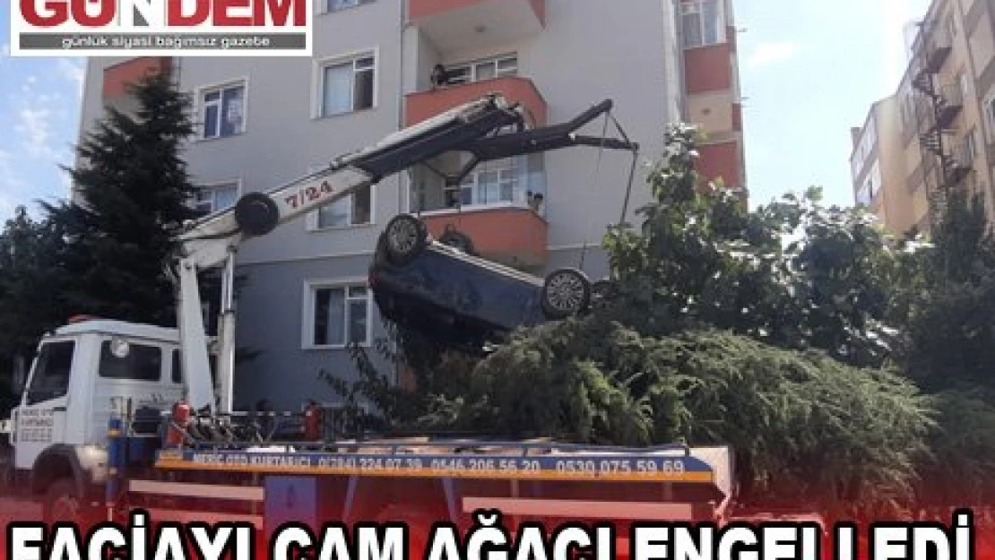 Faciayı çam ağacı engelledi