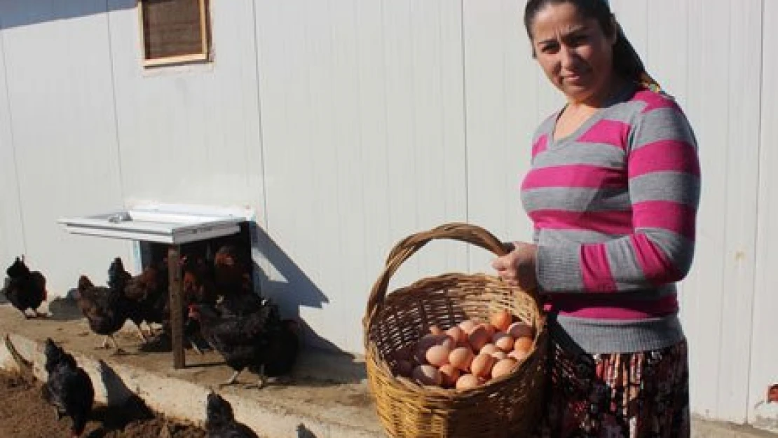 Ev hanımıydı, çiftlik sahibi oldu