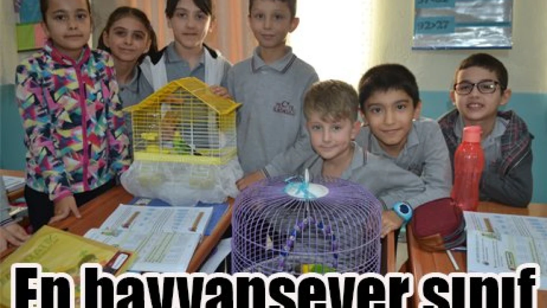 En hayvansever sınıf