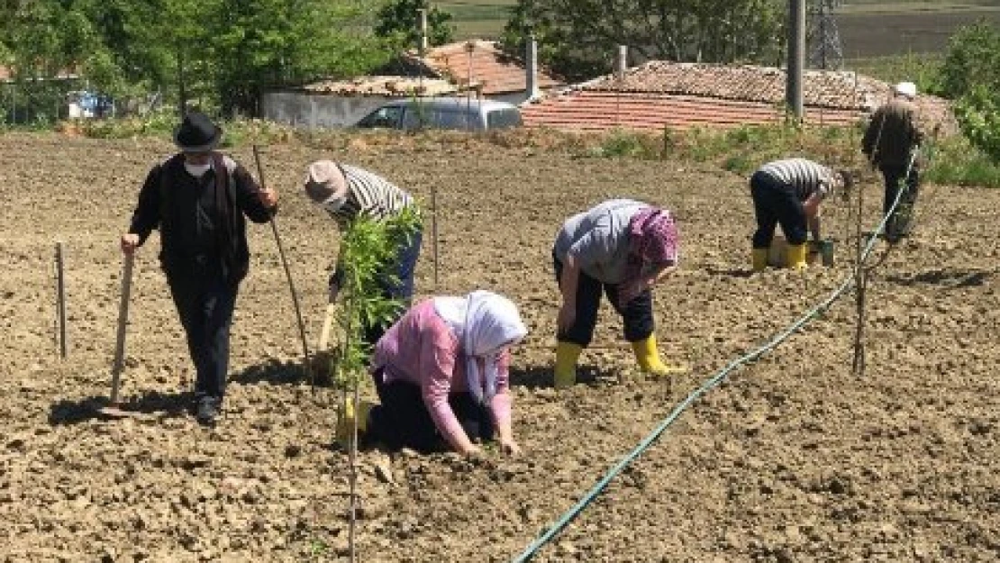 Huzurevi bahçeye indi