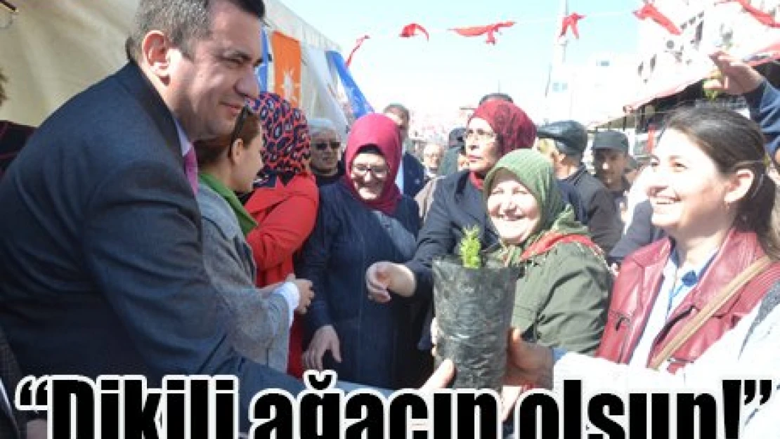 Dikili ağacın olsun!