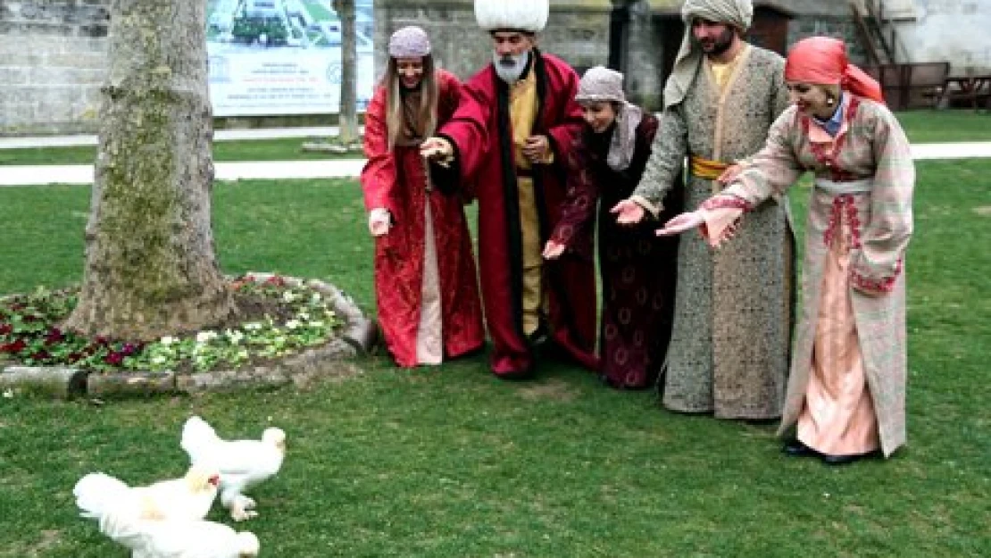 Sultan tavukları müzede