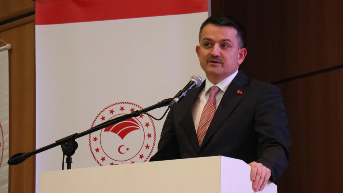 Edirne, parlatılmamış mücevher