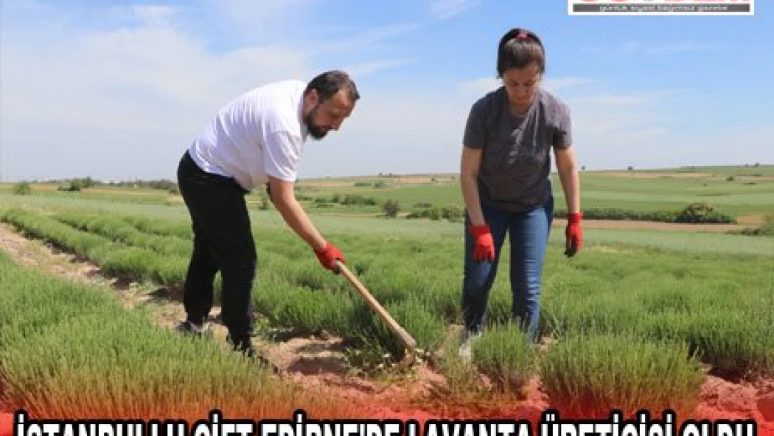 İSTANBULLU ÇİFT EDİRNE'DE LAVANTA ÜRETİCİSİ OLDU