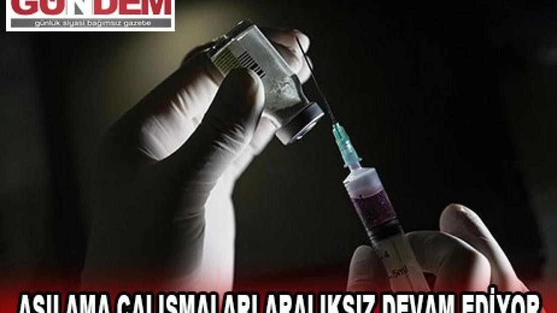 Trakya'da aşılama çalışmaları aralıksız devam ediyor.