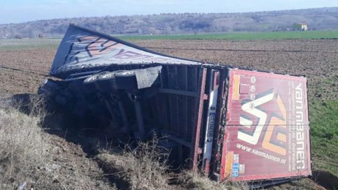 Oto parçası taşıyan TIR devrildi