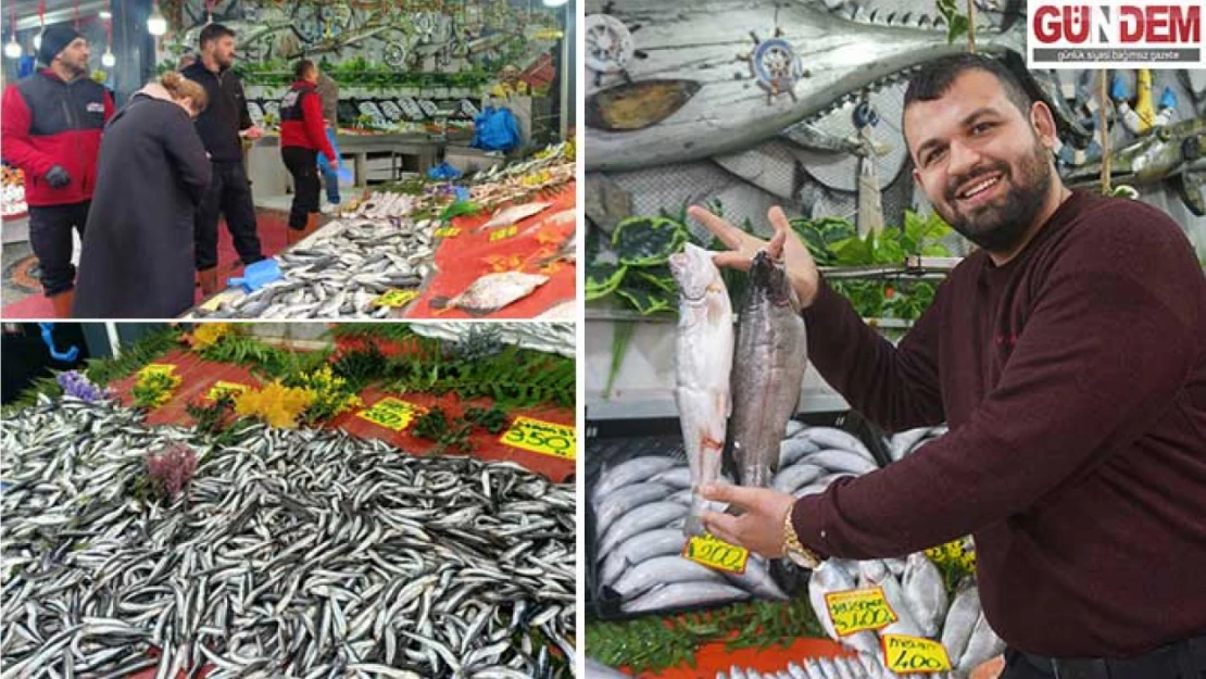 Hamsi, Çinakop ve İstavrit Tezgâhları Süslüyor