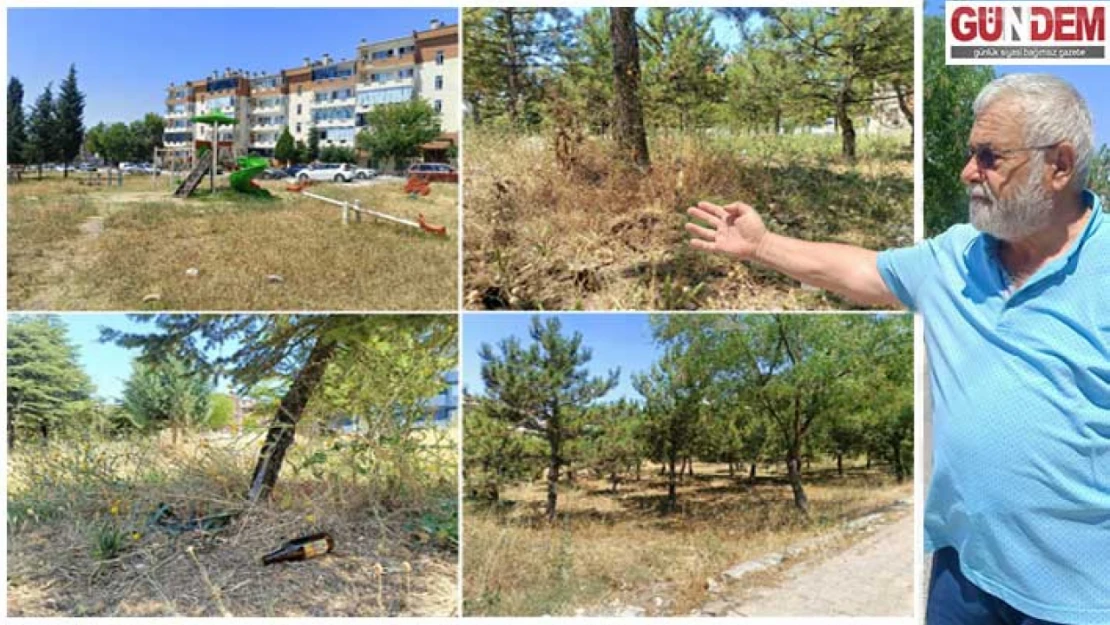 Hatıra Ormanı kaderine terk edildi