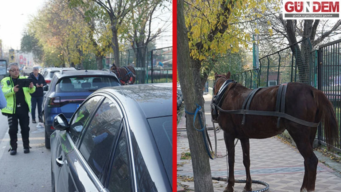 Hızını alamayan at park halindeki araçlara çarptı