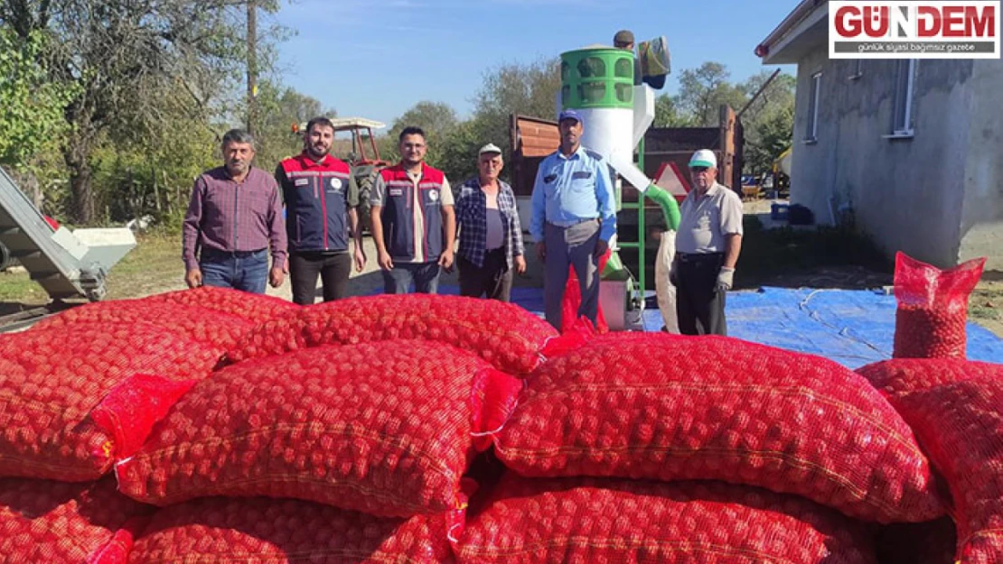 İpsala'da ceviz hasadı devem ediyor