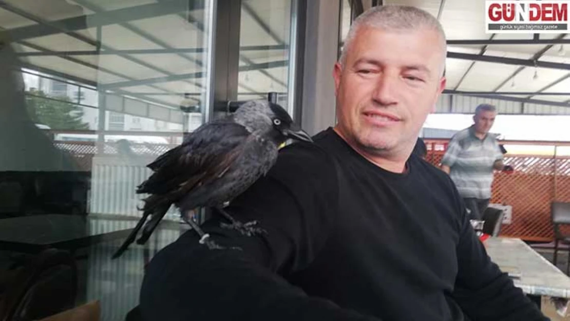 Karga otogarın maskotu