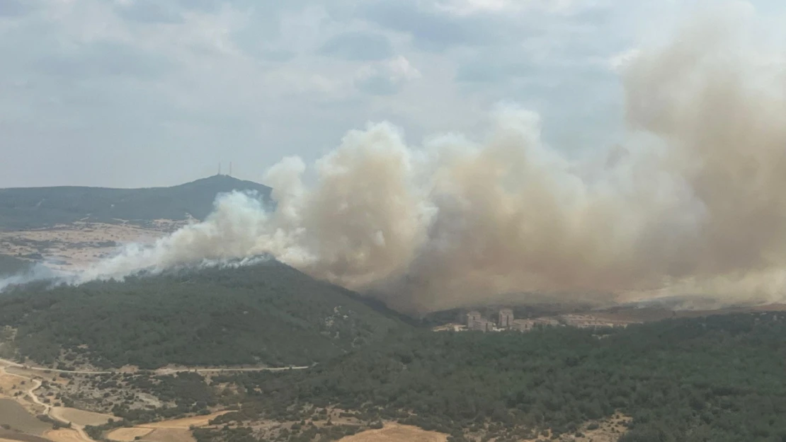 Keşan'da orman yangını söndürüldü