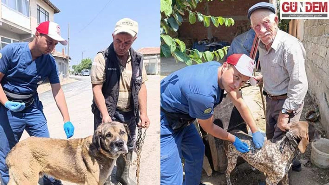 Kuduz aşısı ve mikroçip uygulamaları titizlikle sürüyor