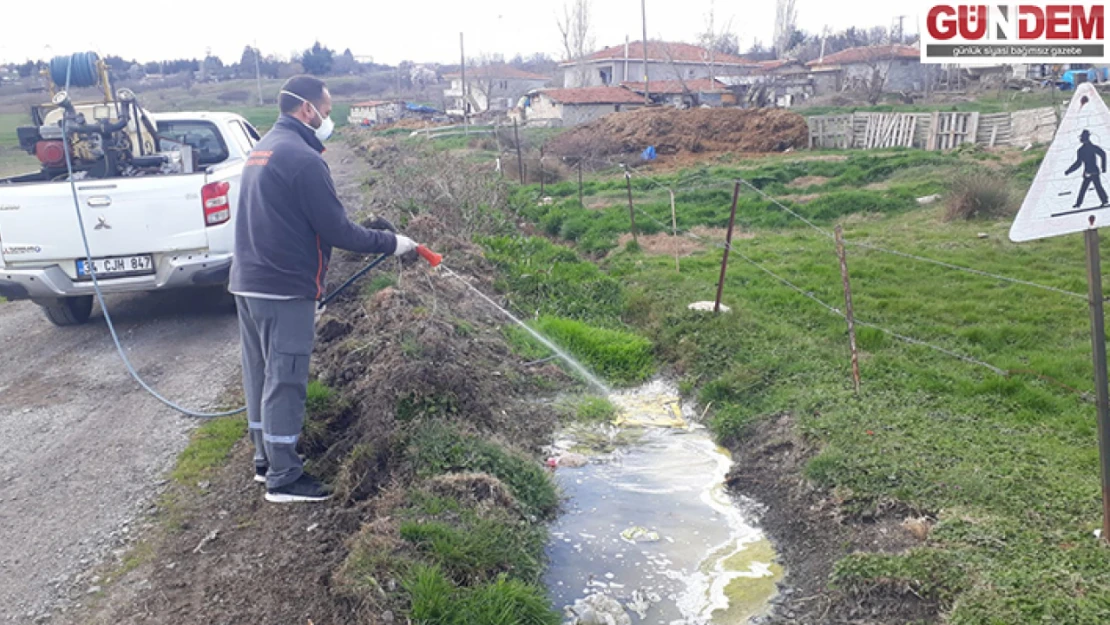 Lüleburgaz'da haşere ve sineklere karşı ilaçlama