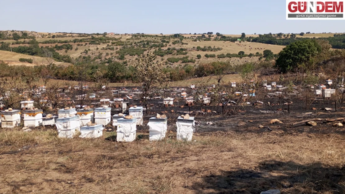 Ormanlık alanda çıkan yangın söndürüldü